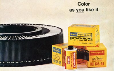 Testimonial /  Michael Freeman