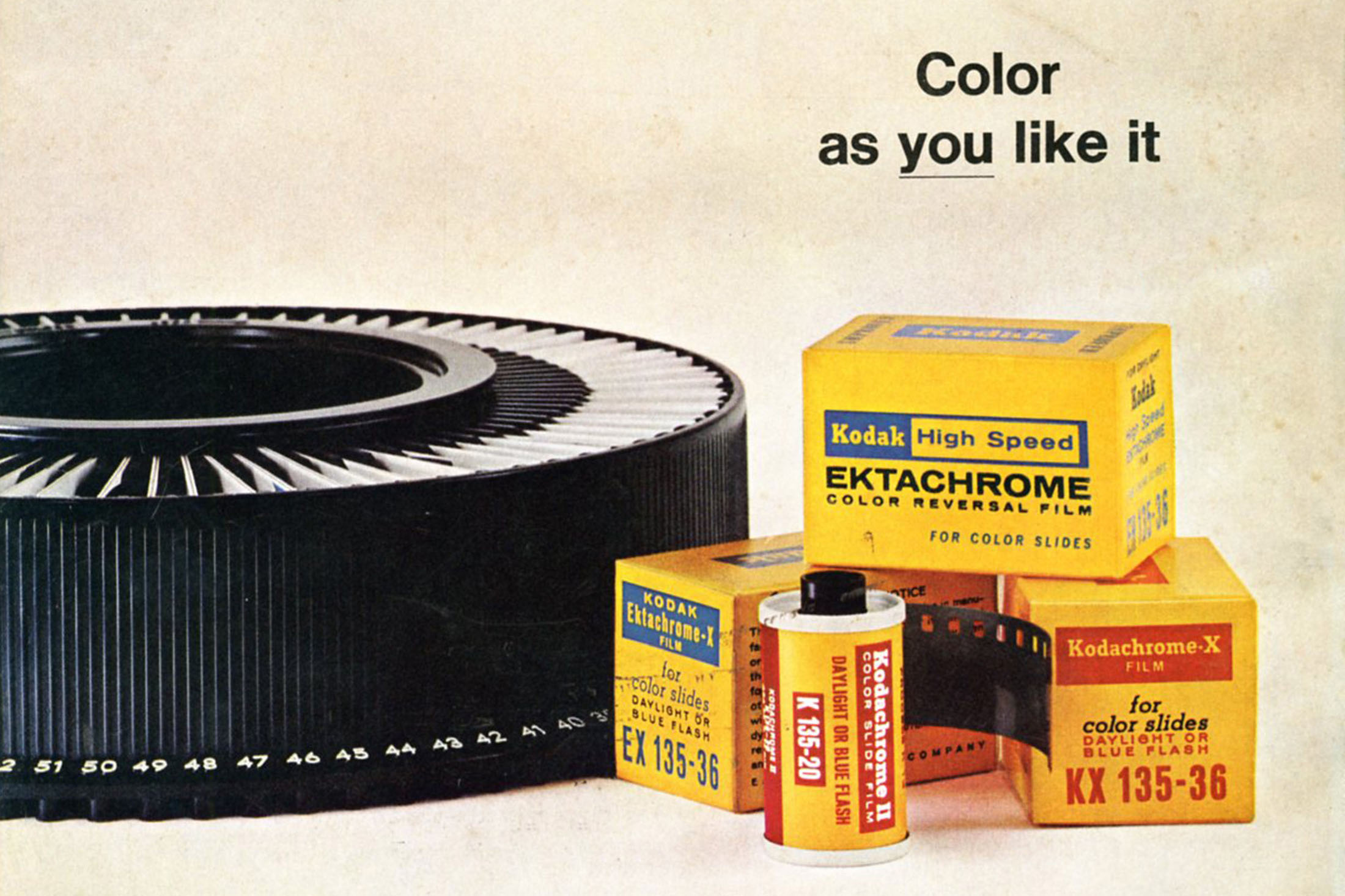 Testimonial /  Michael Freeman